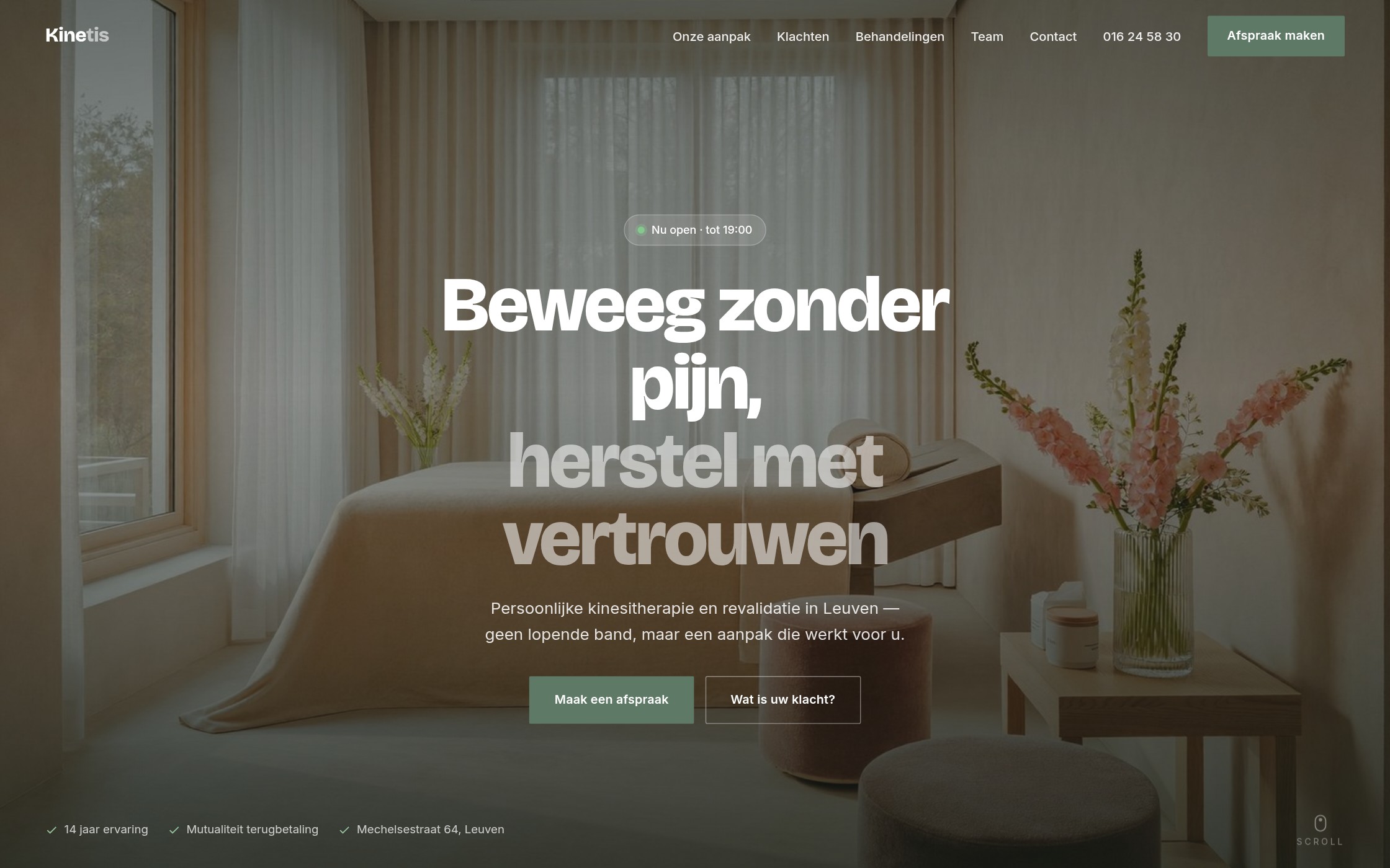 Website voor kinesisten